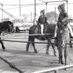 Fancy A Pony Ride