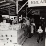 Fresh Bread
