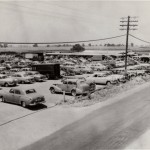 Just Look At Those Cars