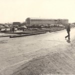 The Auction Yard 1953